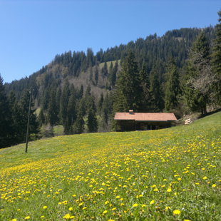 Idyllische Lage